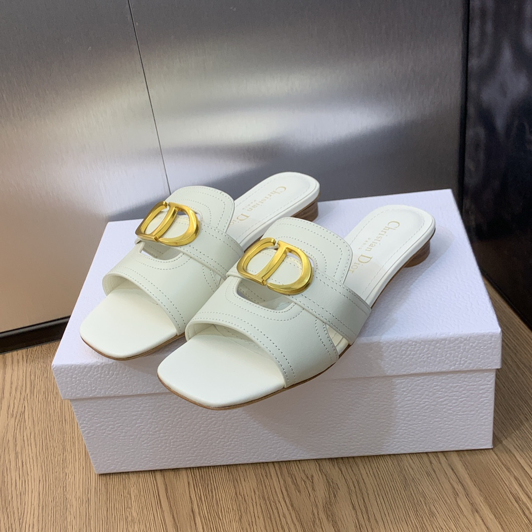 UA DIOR 30 Montaigne Slide