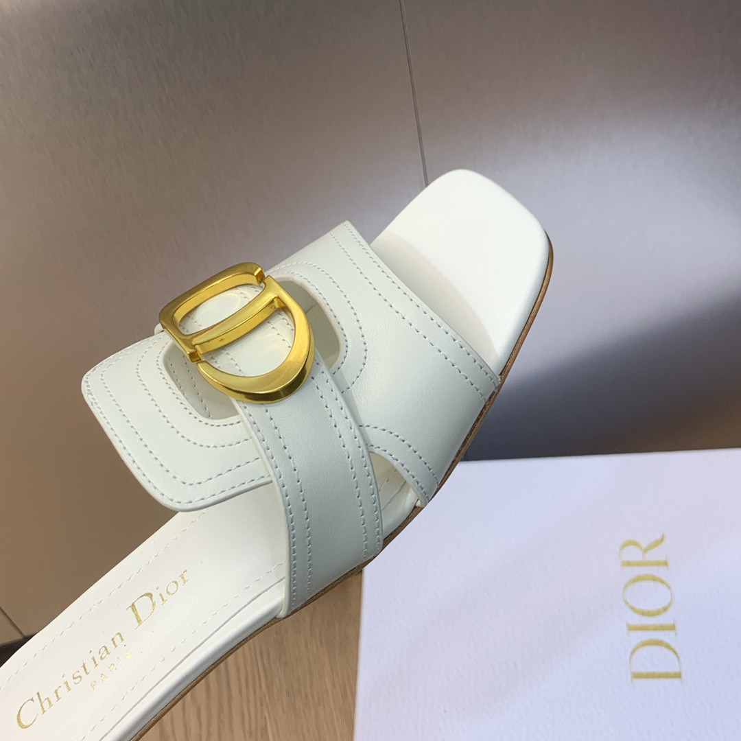 UA DIOR 30 Montaigne Slide