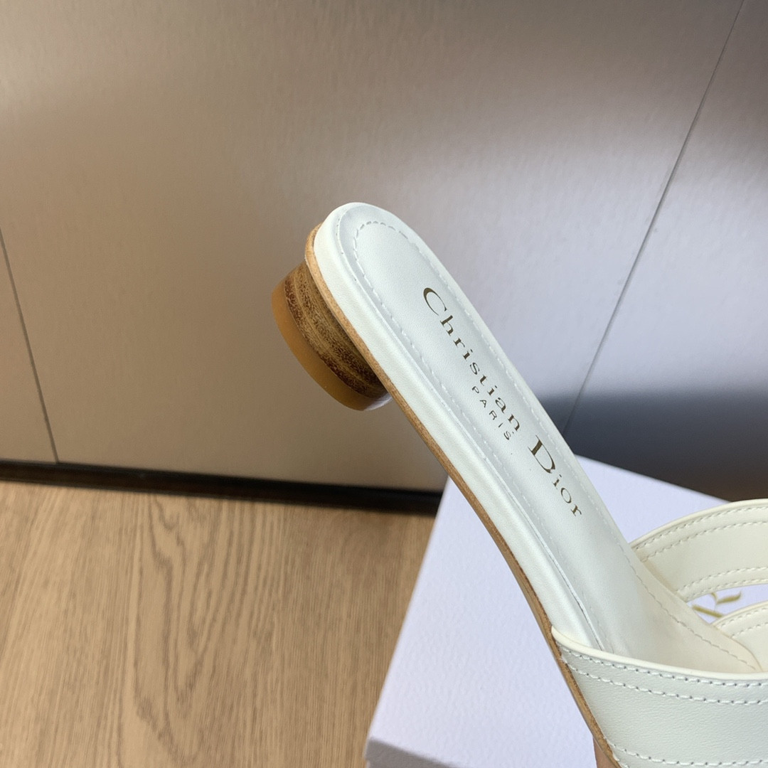 UA DIOR 30 Montaigne Slide