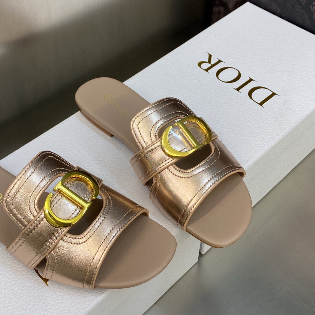 UA DIOR 30 Montaigne Slide