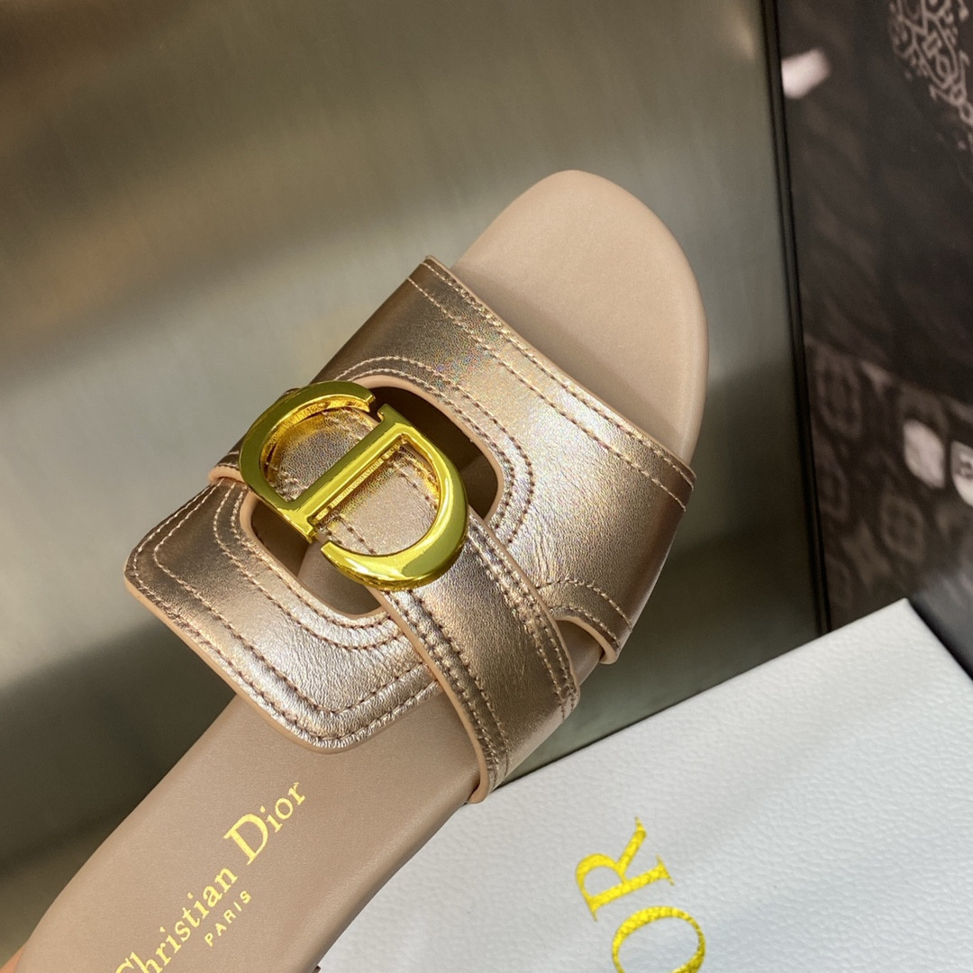 UA DIOR 30 Montaigne Slide