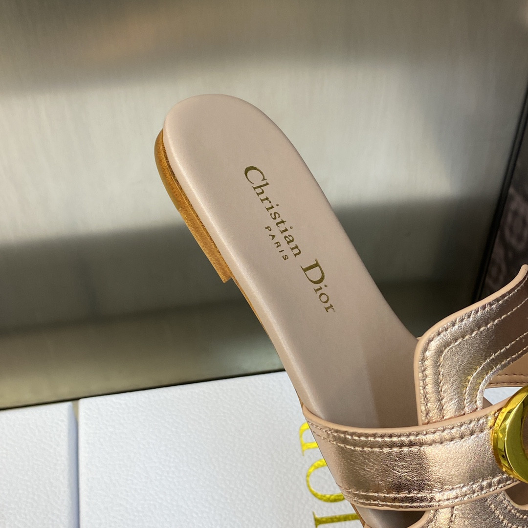 UA DIOR 30 Montaigne Slide