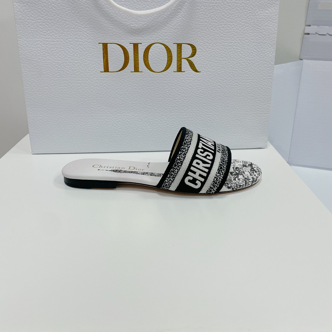 UA DIOR Dway Slide