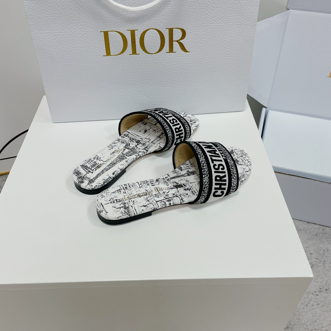 UA DIOR Dway Slide