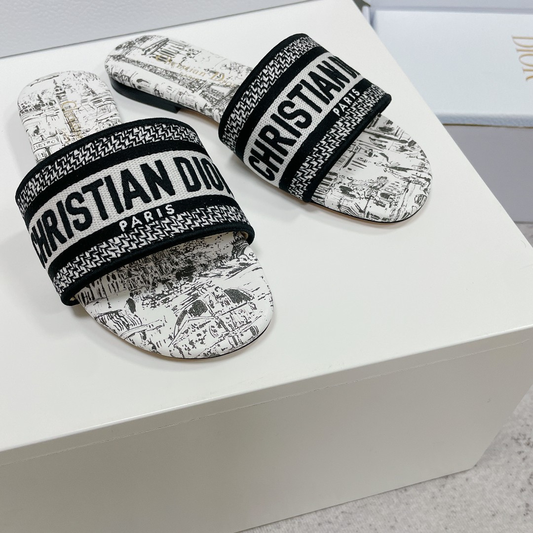 UA DIOR Dway Slide