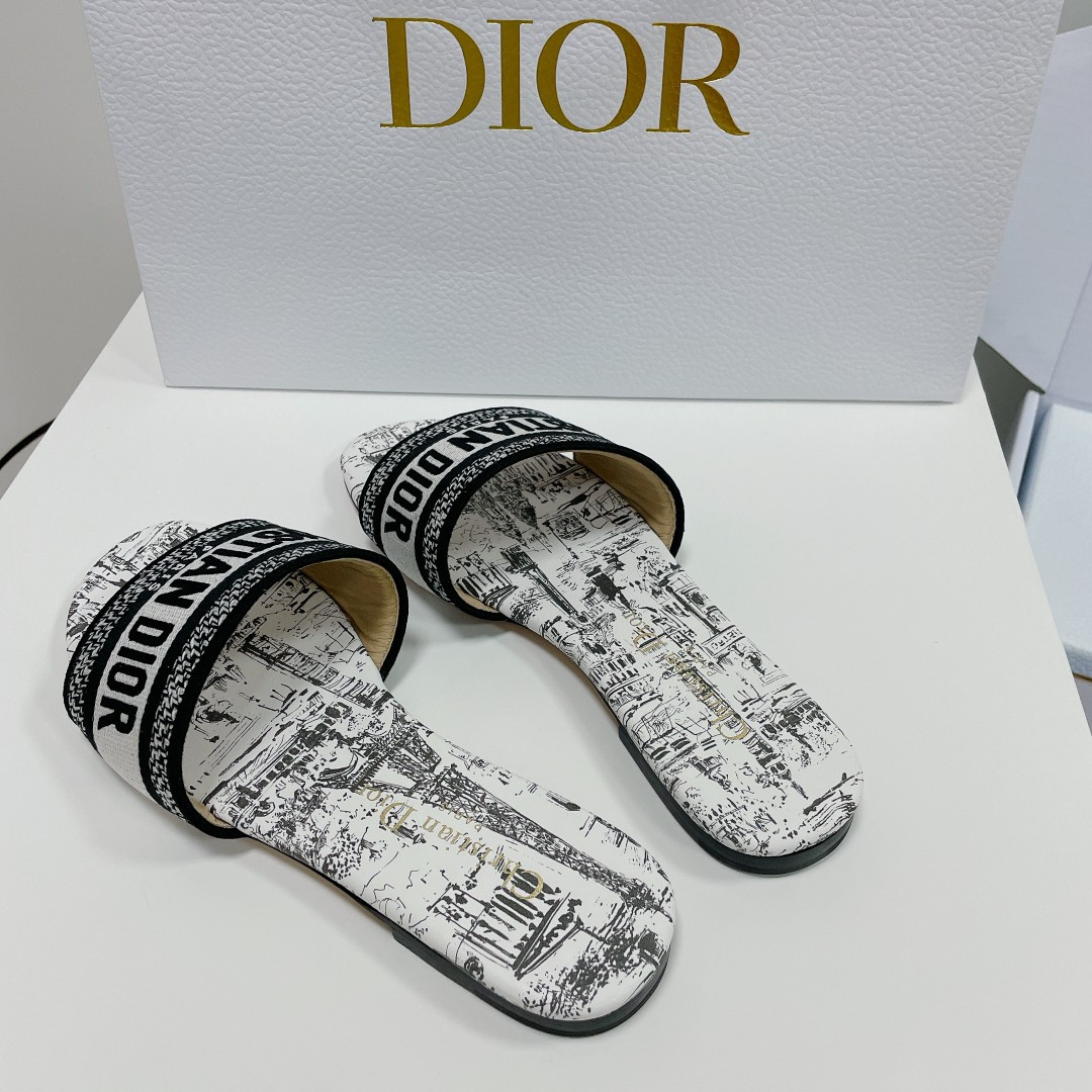 UA DIOR Dway Slide