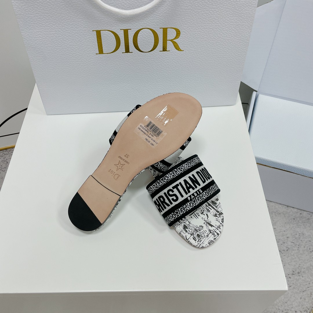 UA DIOR Dway Slide