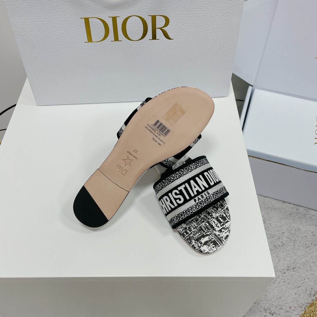 UA DIOR Dway Slide