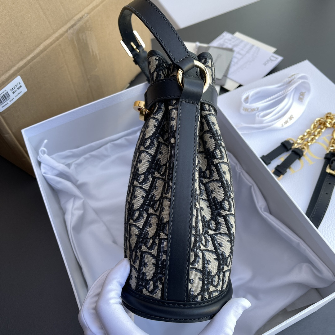 Dior Amber Oblique 24.5×25×11cm