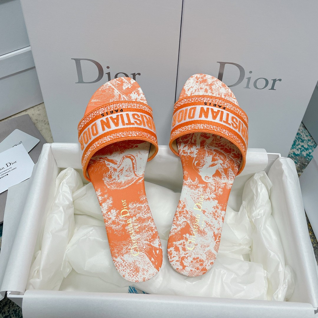 UA DIOR Dway Slide