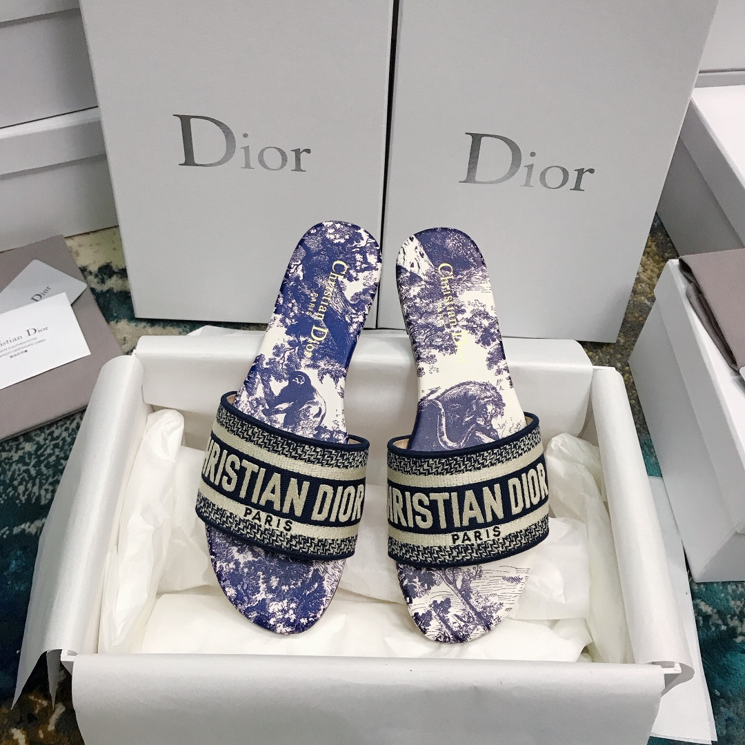 UA DIOR Dway Slide