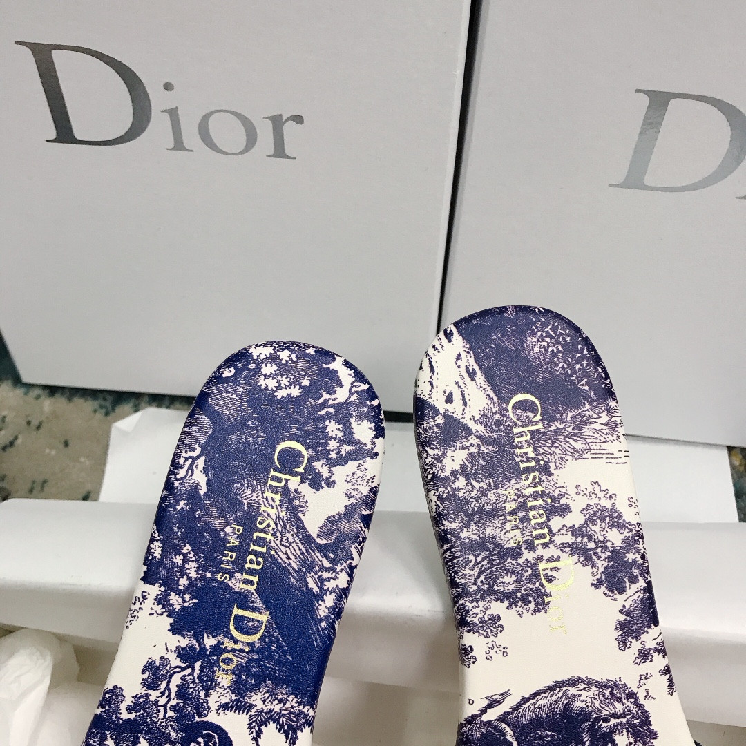 UA DIOR Dway Slide