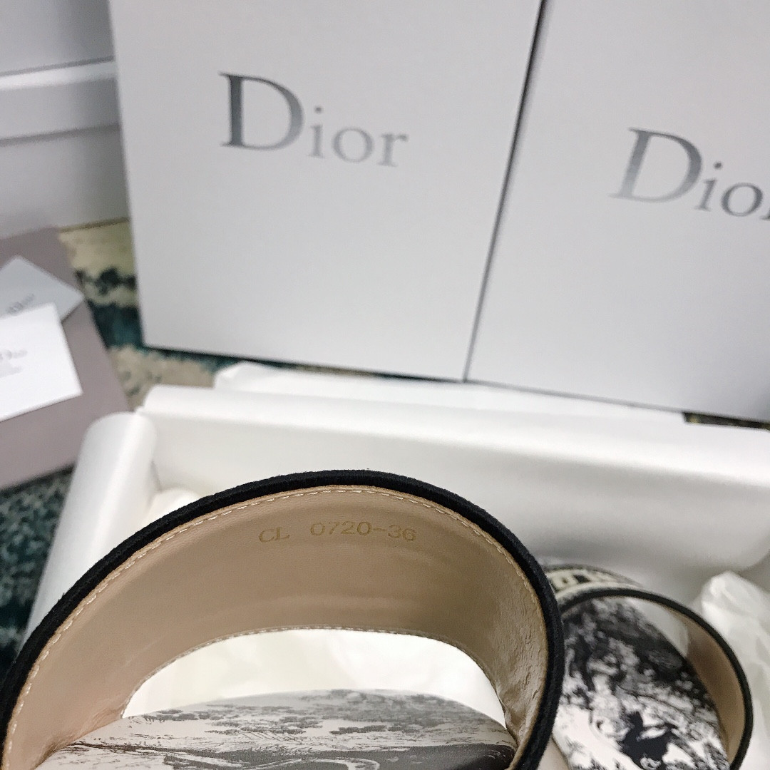 UA DIOR Dway Slide