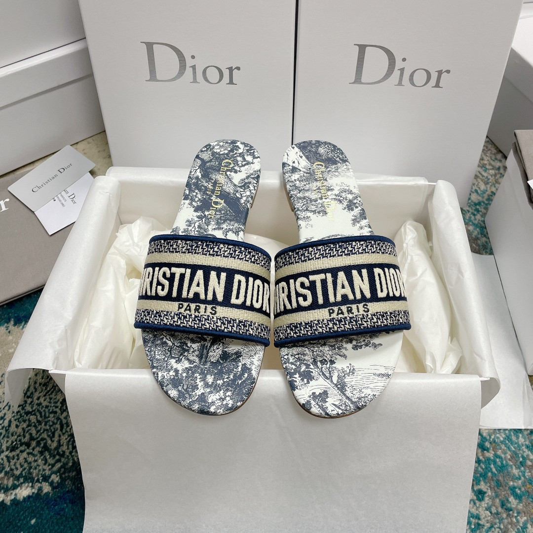 UA DIOR Dway Slide