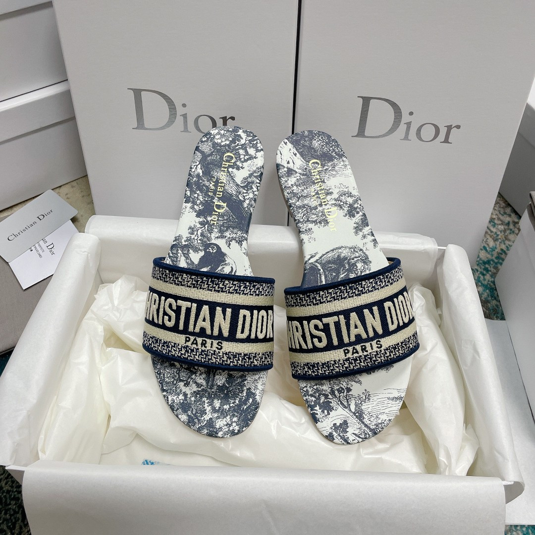 UA DIOR Dway Slide