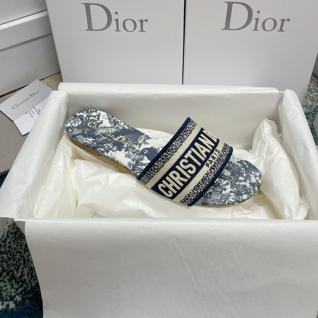 UA DIOR Dway Slide