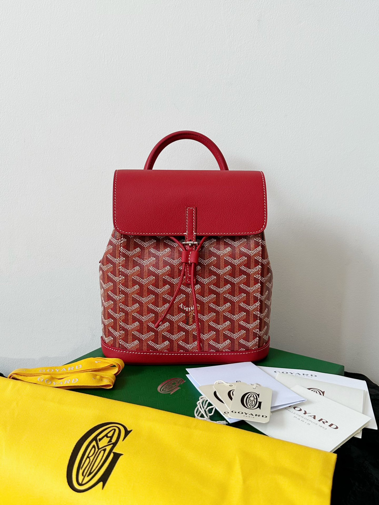 Goyard Mini Alpin 23 cm x 9.5 cm x 19 cm