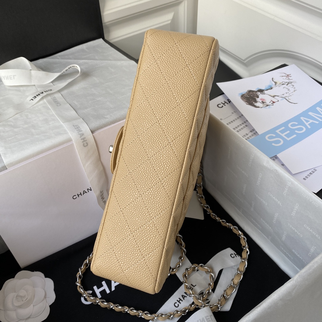 Chanel Classic Flap Bag 15.5×25.5×6.5cm