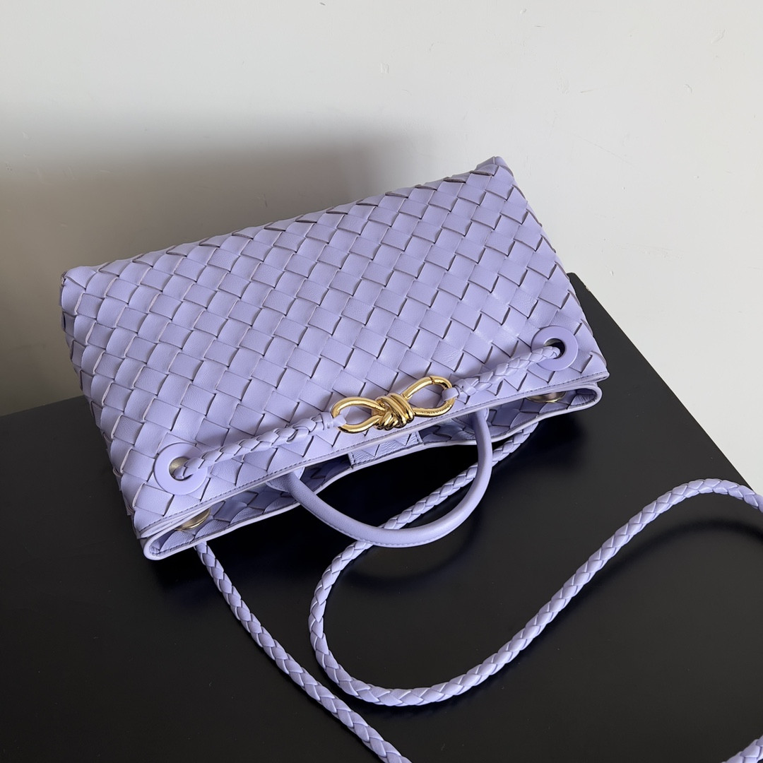 Bottega Veneta East-West Andiamo 29x10x18CM