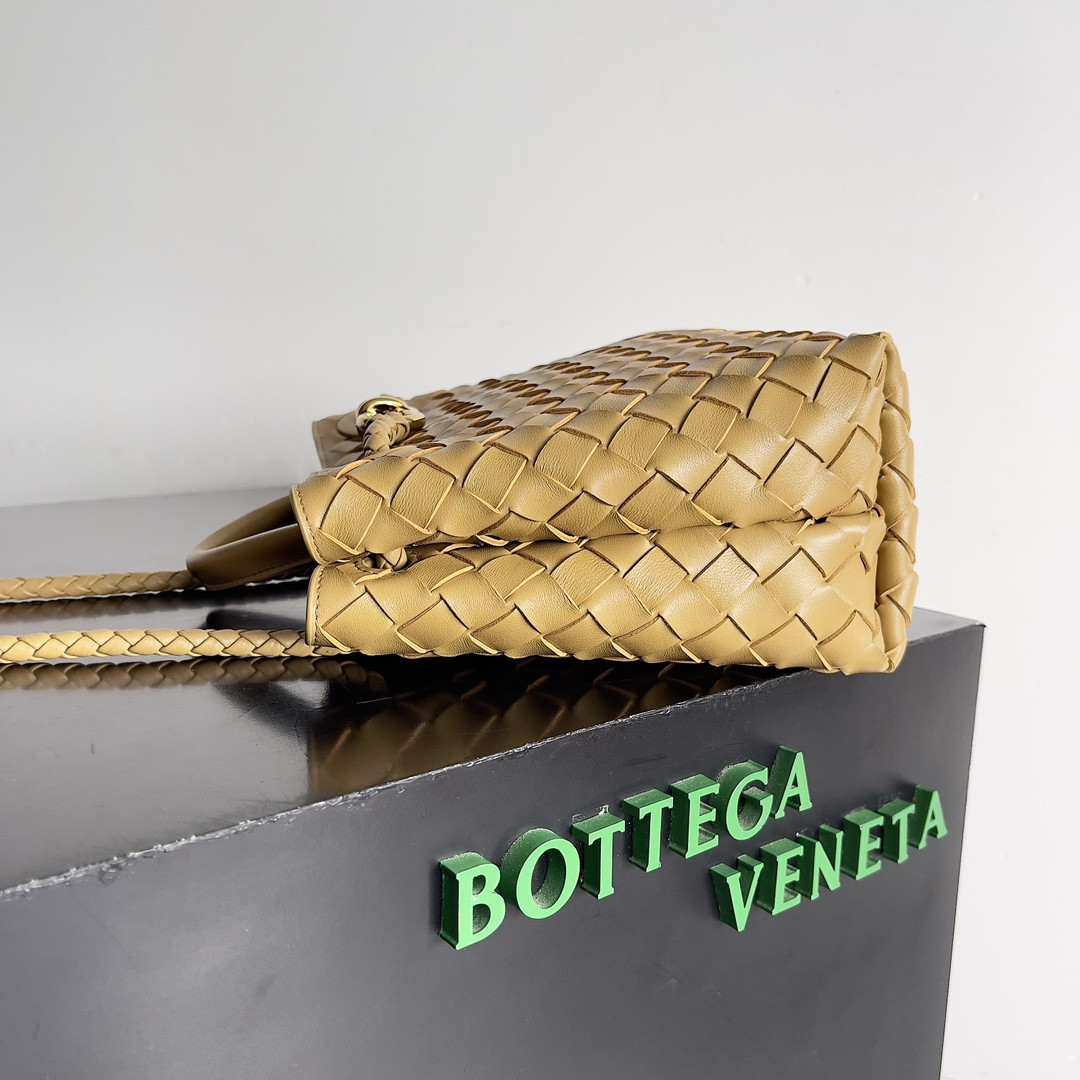 Bottega Veneta Small Andiamo 25x22x10.5cm