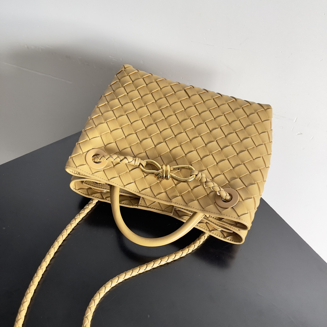 Bottega Veneta Small Andiamo 25x22x10.5cm