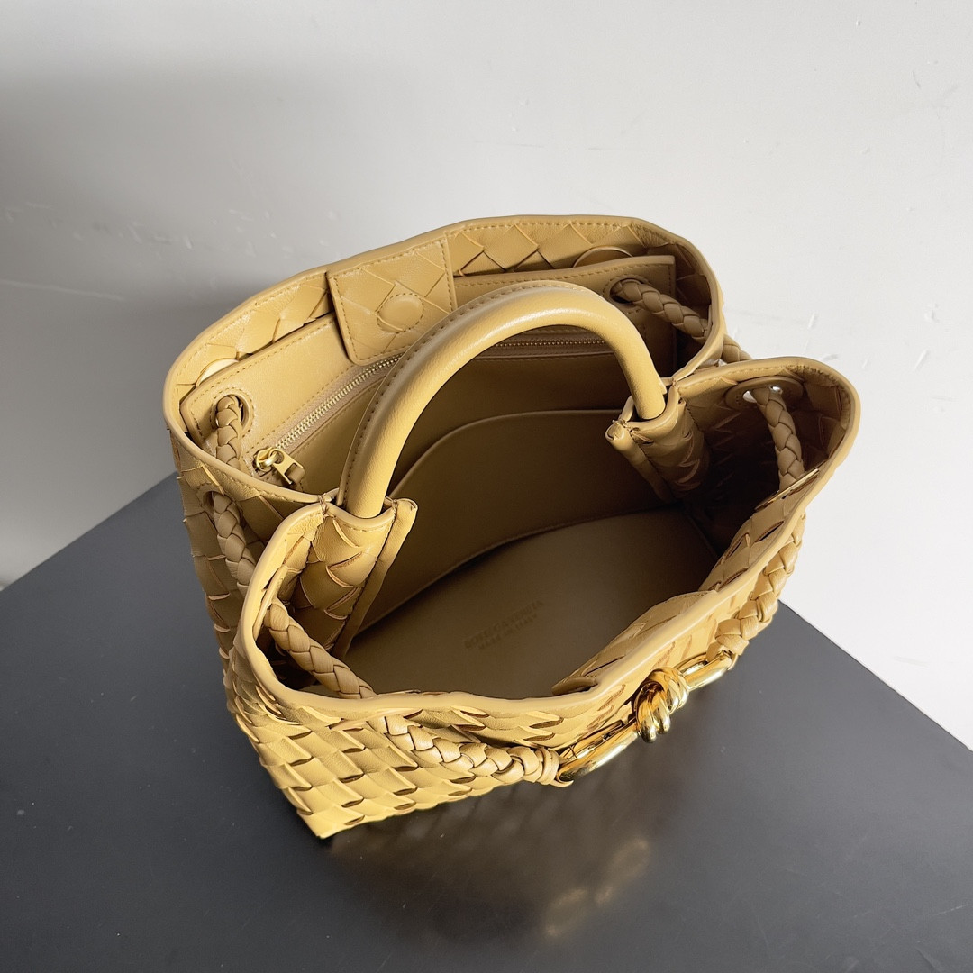 Bottega Veneta Small Andiamo 25x22x10.5cm