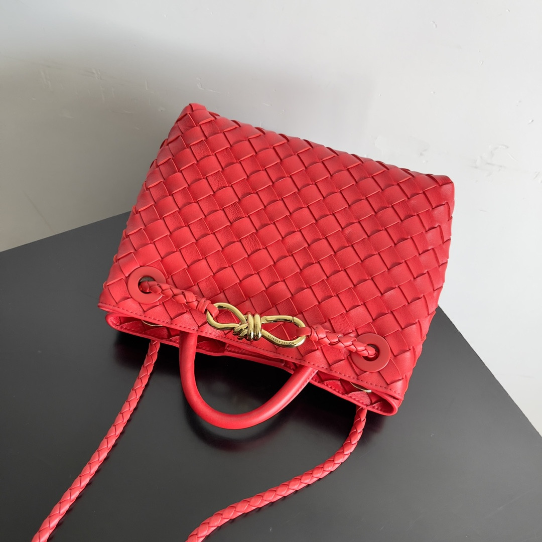 Bottega Veneta Small Andiamo 25x22x10.5cm