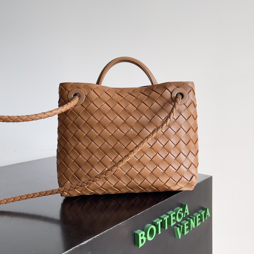 Bottega Veneta Small Andiamo 25x22x10.5cm