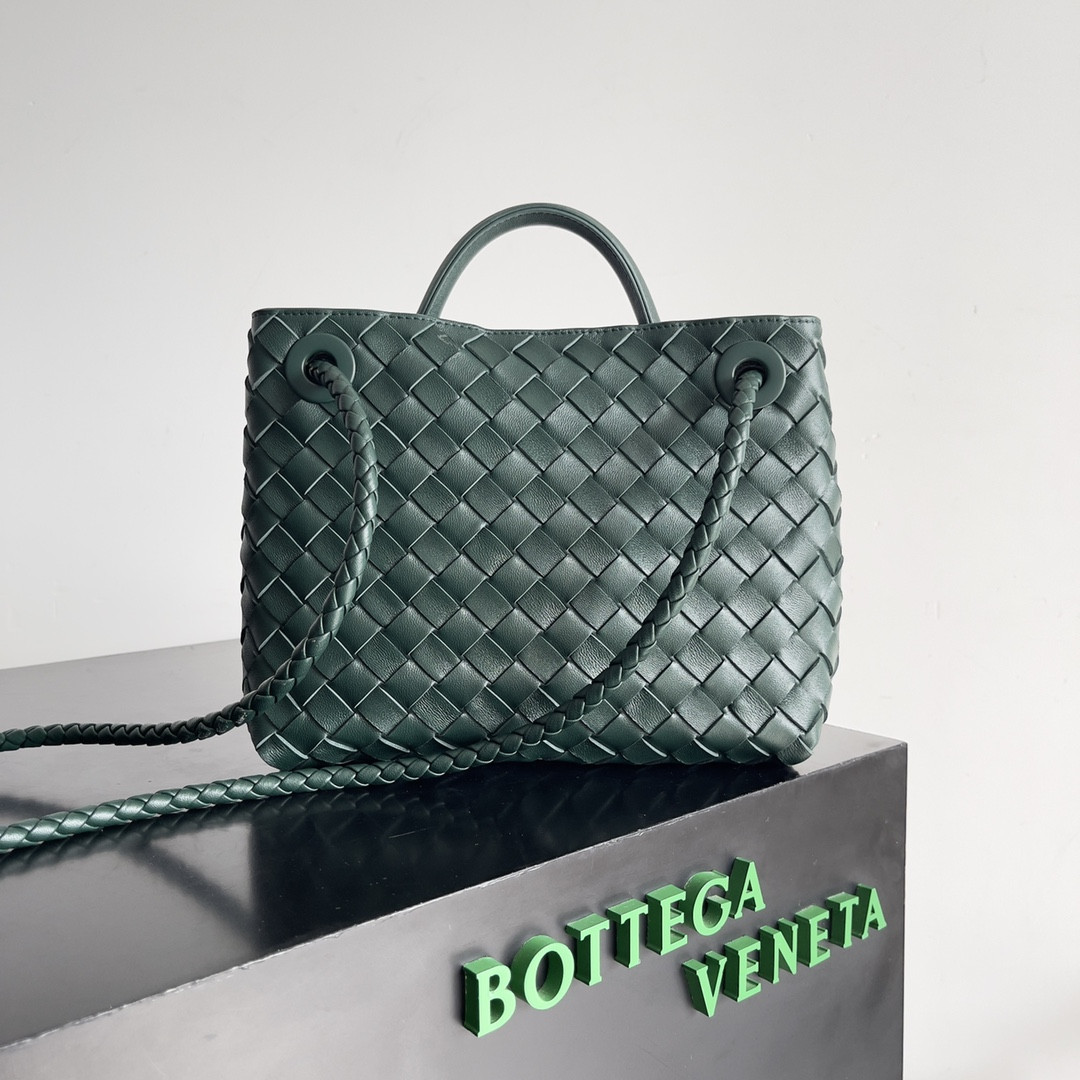 Bottega Veneta Small Andiamo 25x22x10.5cm