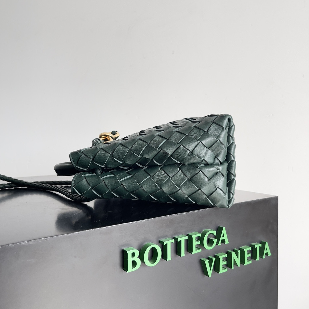 Bottega Veneta Small Andiamo 25x22x10.5cm