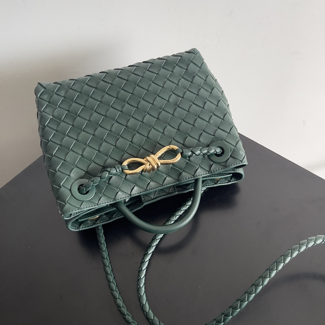 Bottega Veneta Small Andiamo 25x22x10.5cm