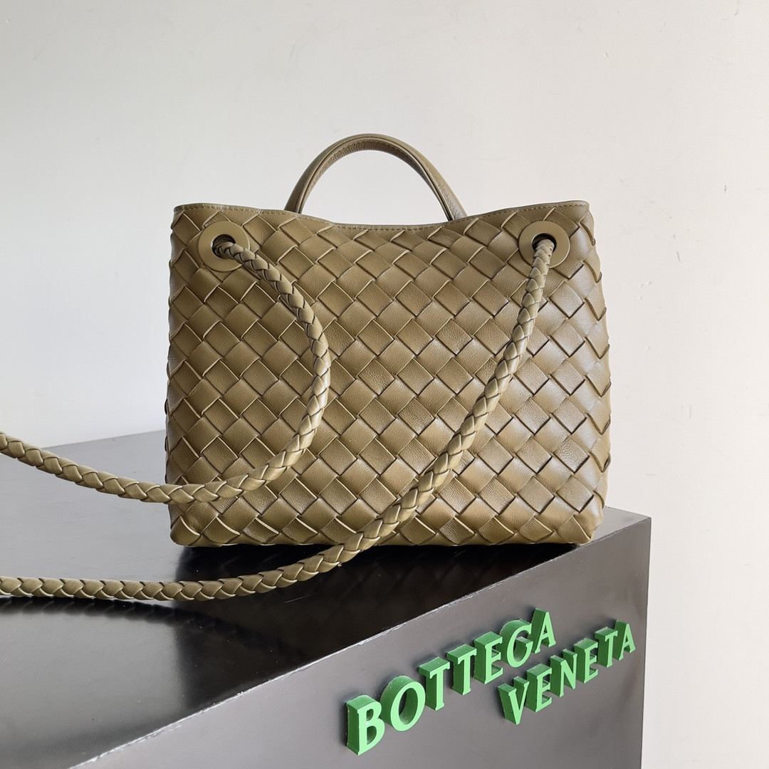 Bottega Veneta Small Andiamo 25x22x10.5cm