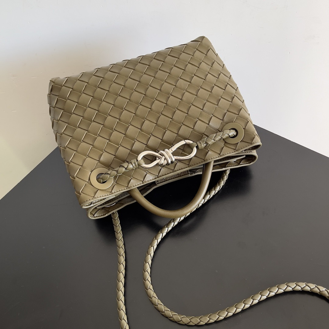 Bottega Veneta Small Andiamo 25x22x10.5cm