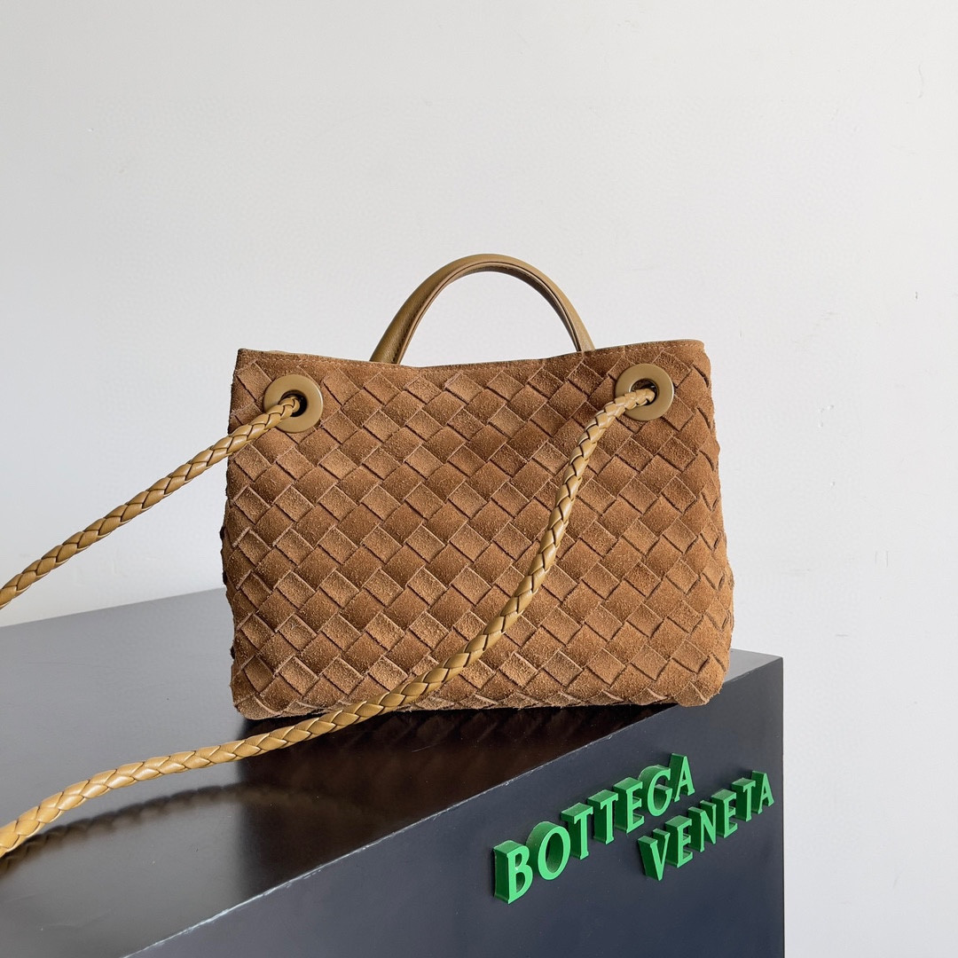 Bottega Veneta Small Andiamo 25x22x10.5cm