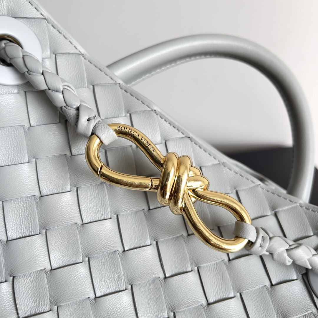 Bottega Veneta Small Andiamo 25x22x10.5cm