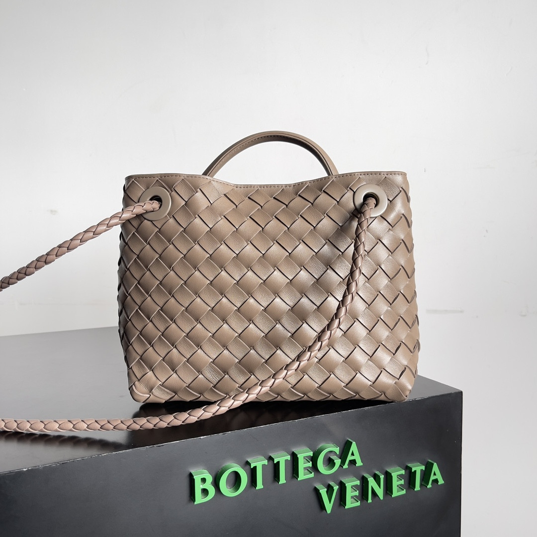 Bottega Veneta Small Andiamo 25x22x10.5cm