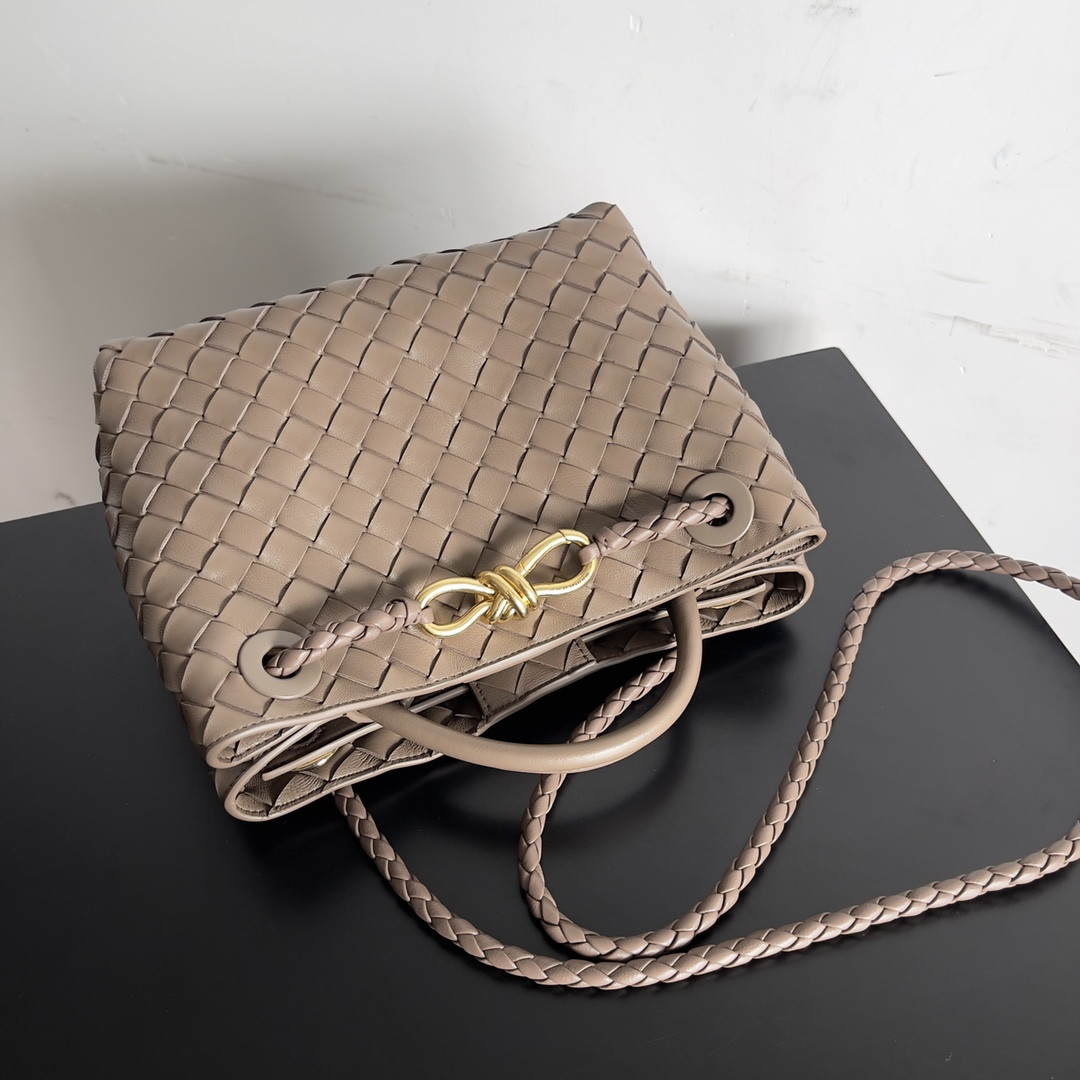 Bottega Veneta Small Andiamo 25x22x10.5cm