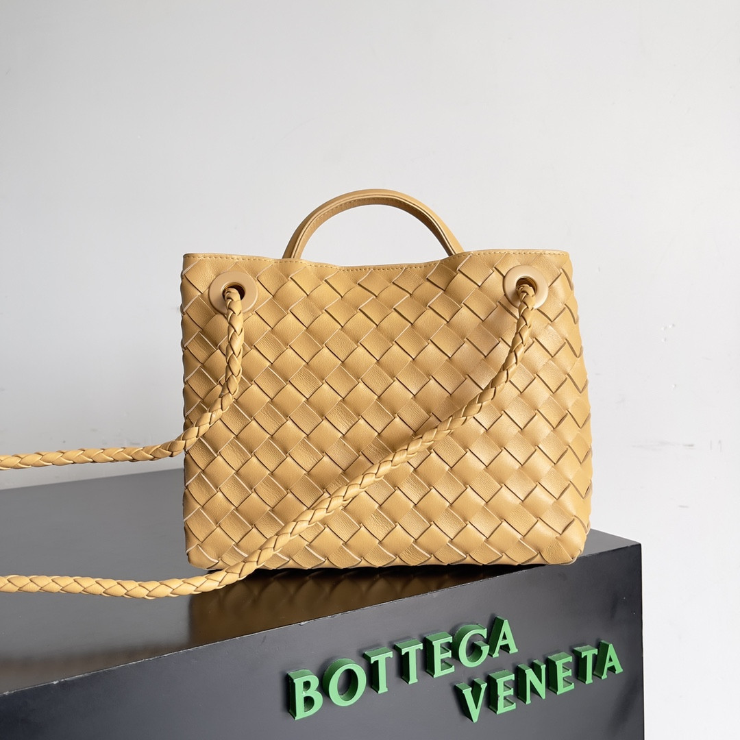Bottega Veneta Small Andiamo 25x22x10.5cm