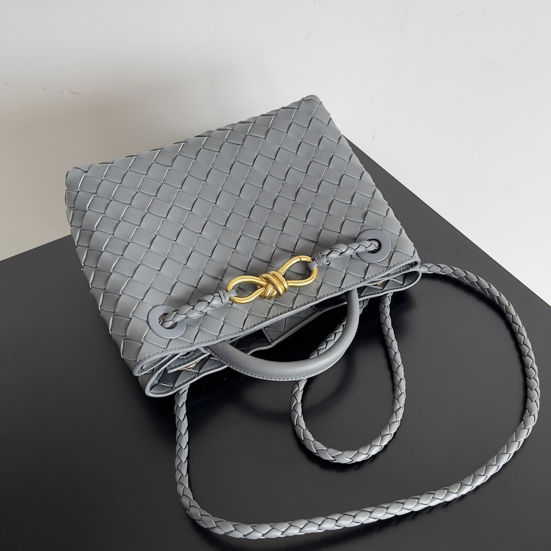 Bottega Veneta Small Andiamo 25x22x10.5cm