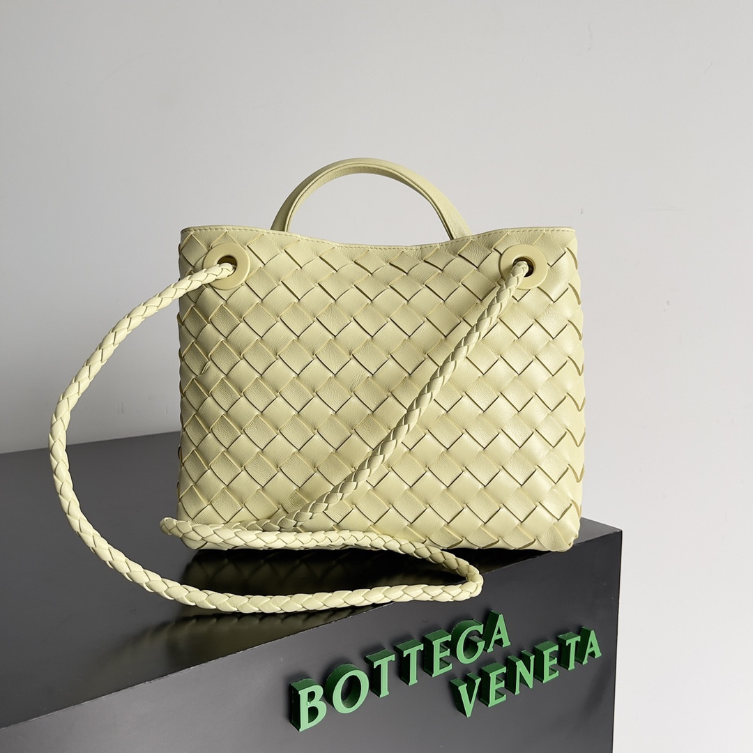 Bottega Veneta Small Andiamo 25x22x10.5cm