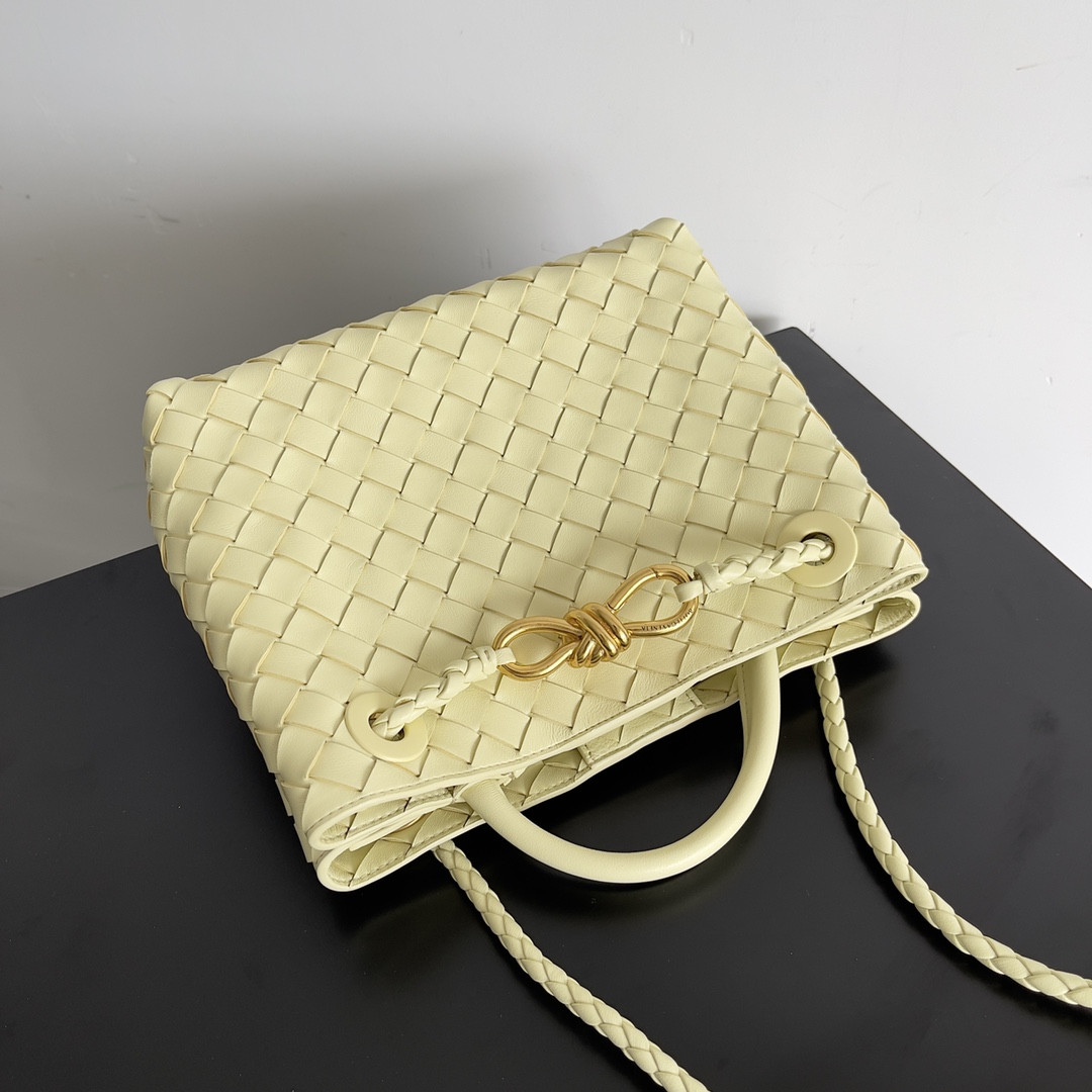 Bottega Veneta Small Andiamo 25x22x10.5cm