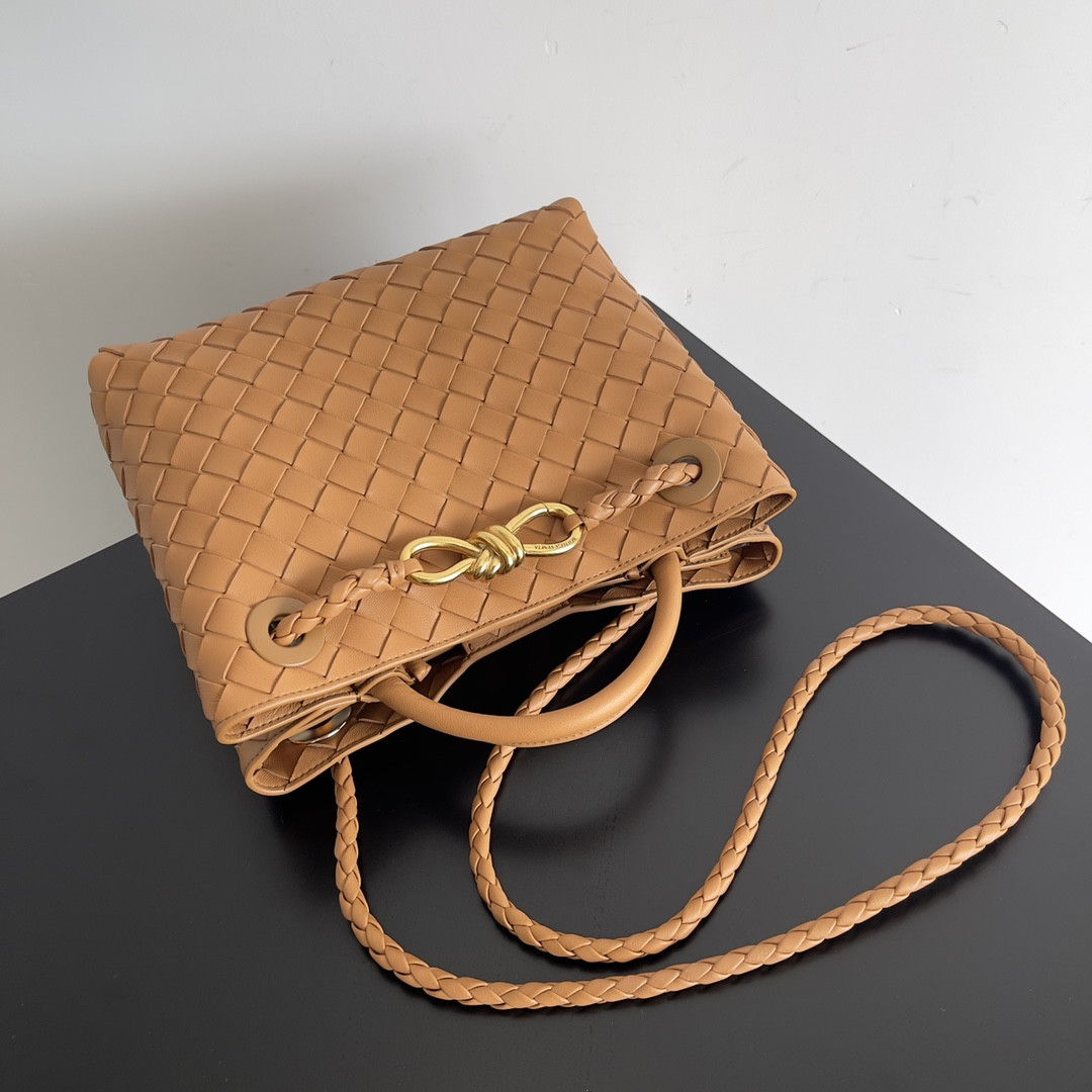 Bottega Veneta Small Andiamo 25x22x10.5cm