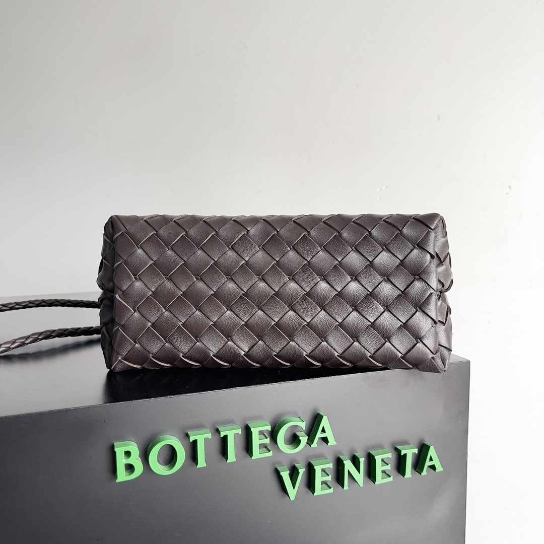 Bottega Veneta Small Andiamo 25x22x10.5cm