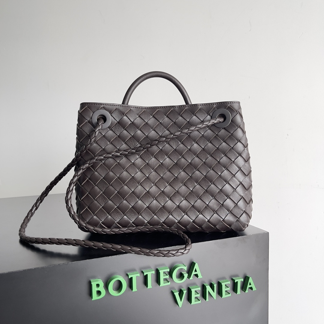Bottega Veneta Small Andiamo 25x22x10.5cm