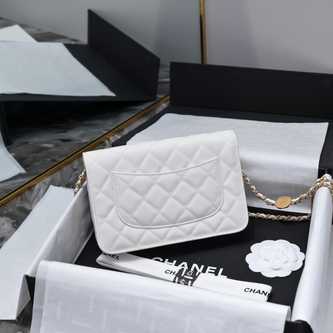 CHANEL WOC CLASSIC WALLET ON CHAIN 19cm