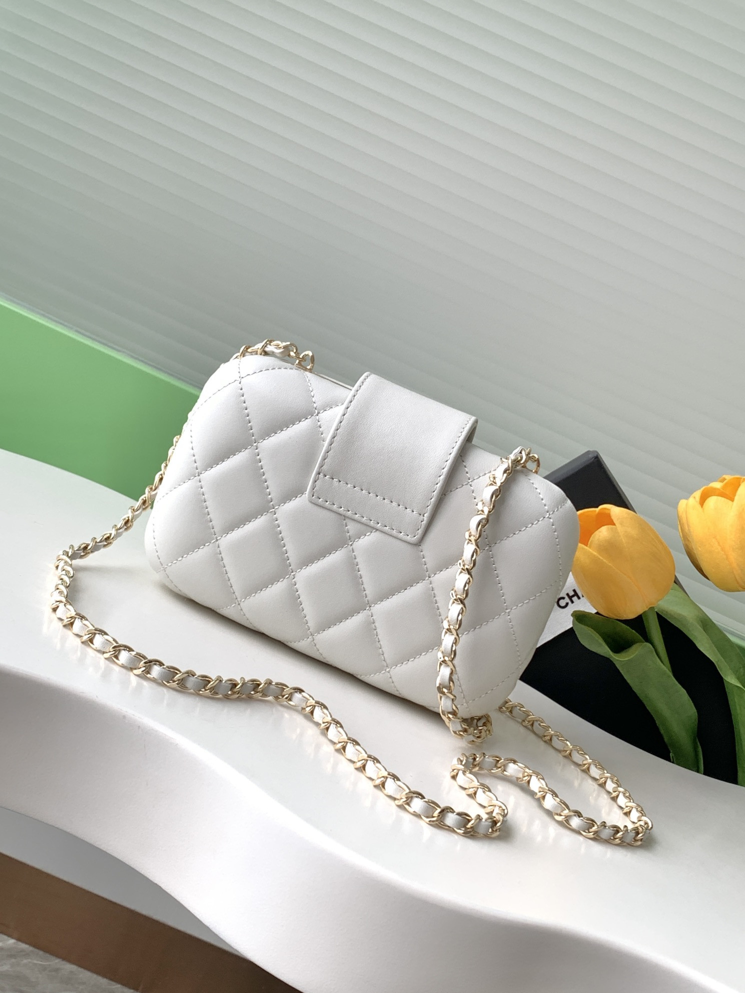 Chanel Clip Bag 13x18x5cm