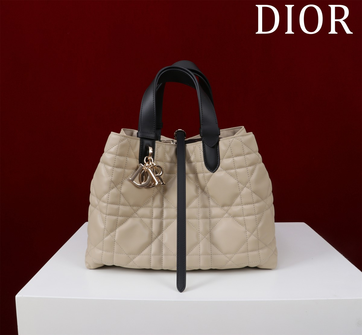 DIOR Toujours Medium 28.5X19X21CM