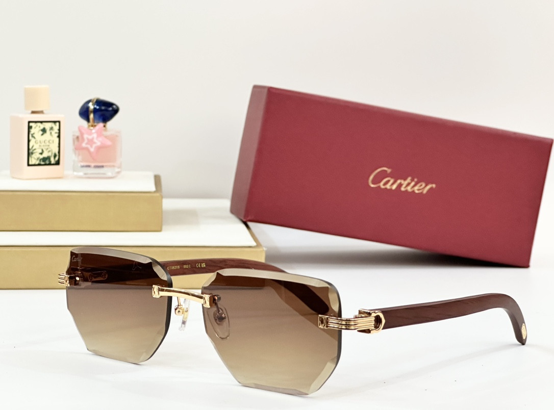 Cartier Glasses PARIS CT0620S