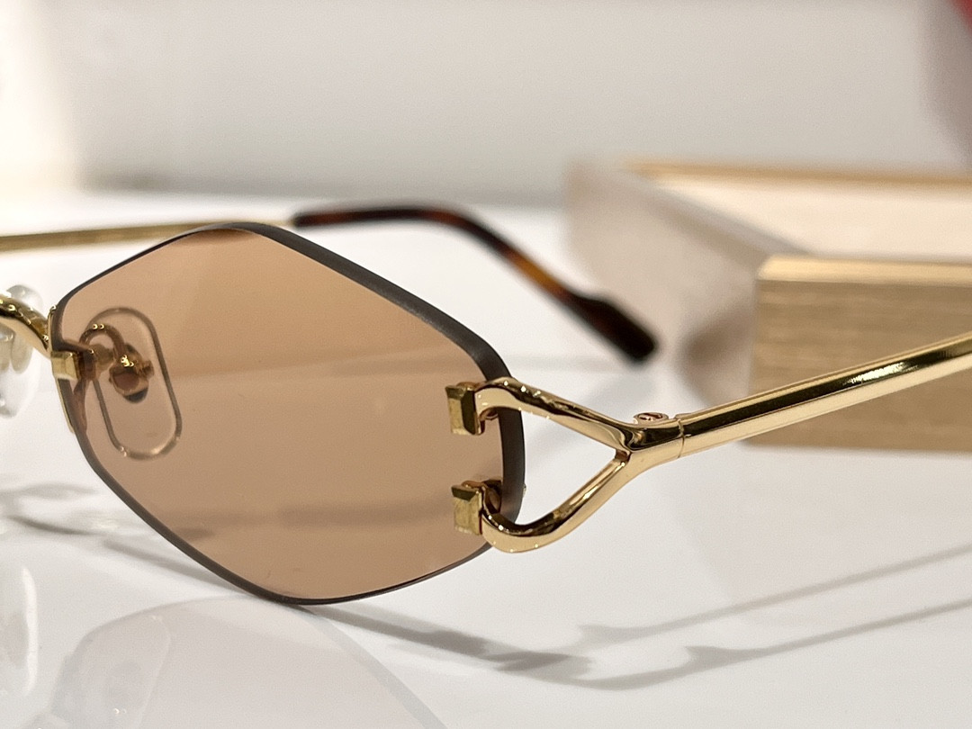 Cartier Glasses CT8100359 48-20-140
