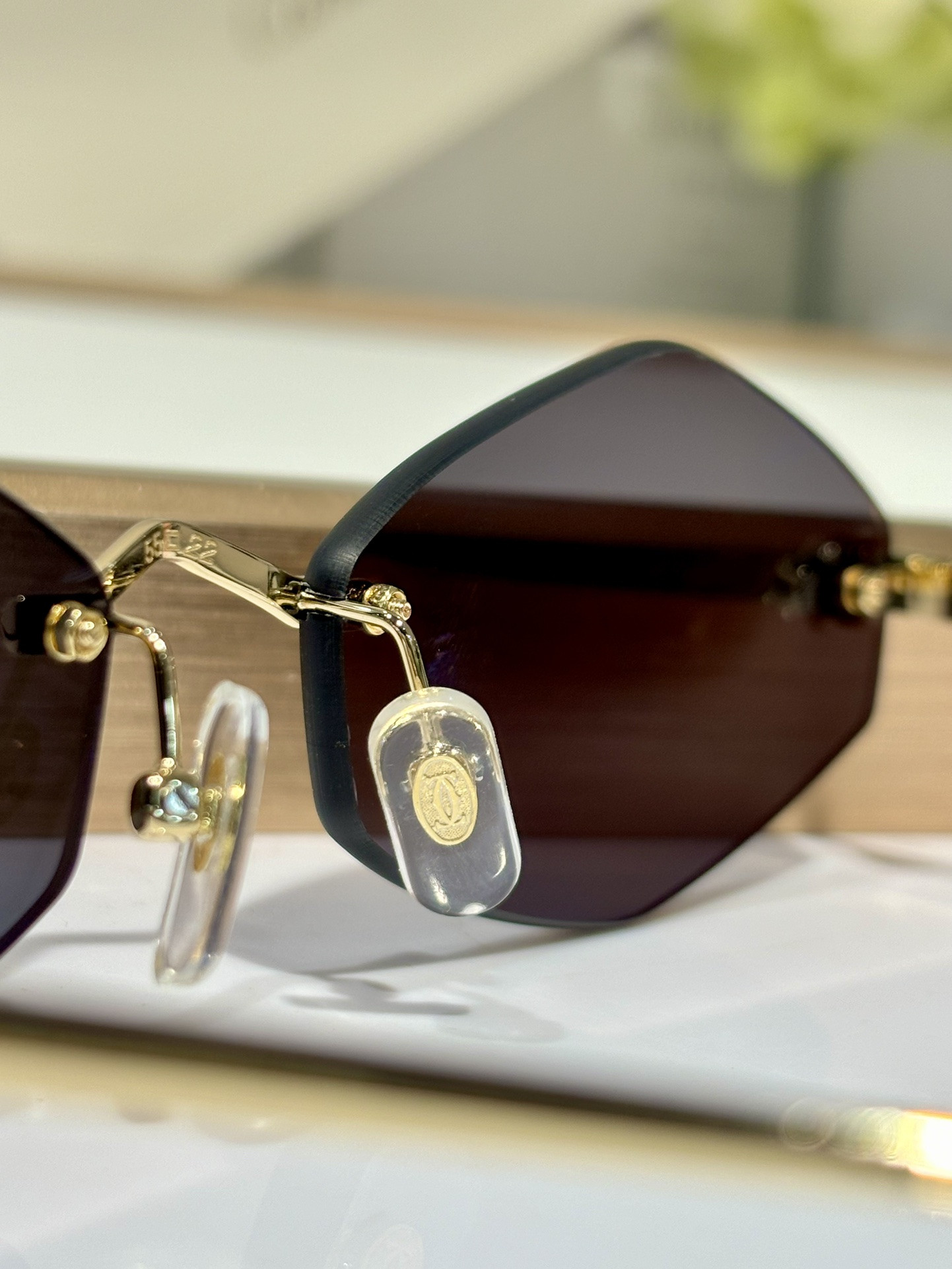 Cartier Glasses CT0433S 55-22-140